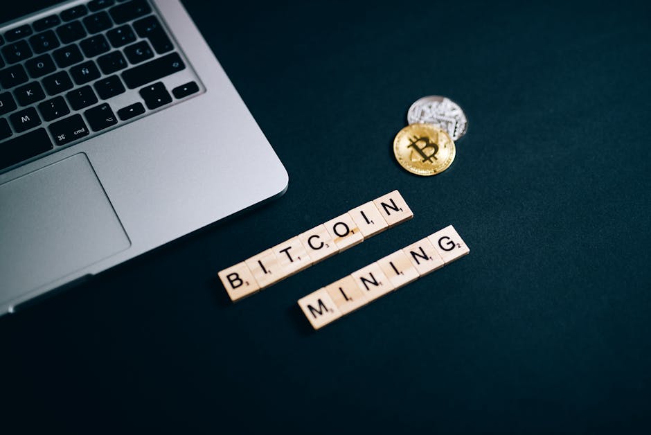 Tipos de Carteiras de Criptomoedas: Escolha e Proteja-se