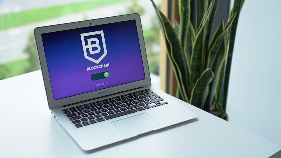 Carteira Cripto Segura: Guia p/ Iniciantes Protegerem Ativos